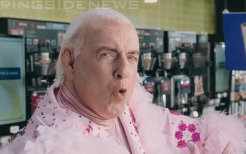 Ric Flair Appears In Hilarious New Commercials