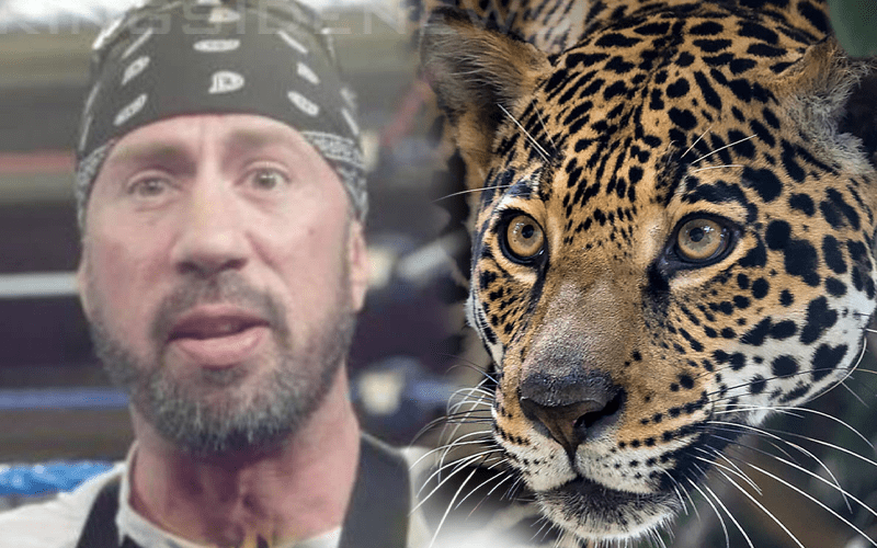 X-Pac Explains Why He Has ‘Zero Sympathy’ For Woman Attacked By Jaguar