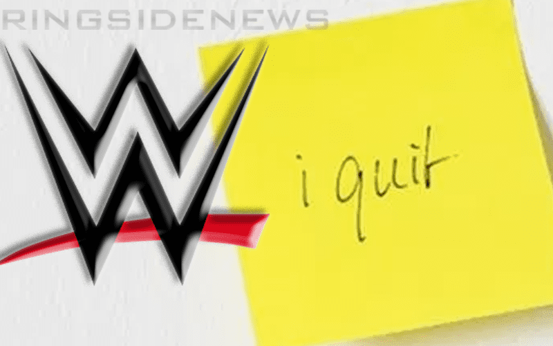 A Look At WWE Personalities Quitting The Company