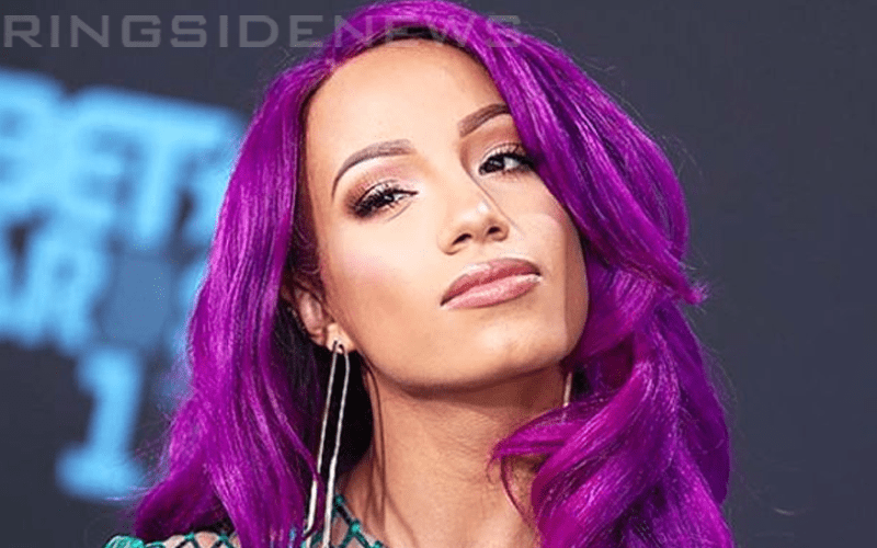 Sasha Banks’ WWE Hiatus Is Reportedly Nothing Out Of The Ordinary