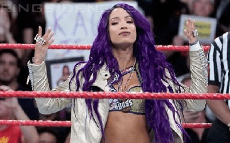 Sasha Banks Is Reportedly ‘Listed Internally’ For Upcoming WWE Tour