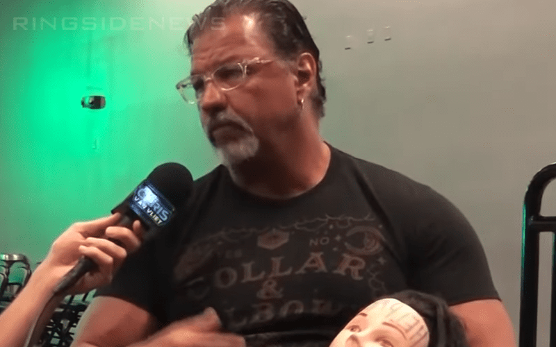 Al Snow On Whether WWE Should Bring Back Hardcore Title