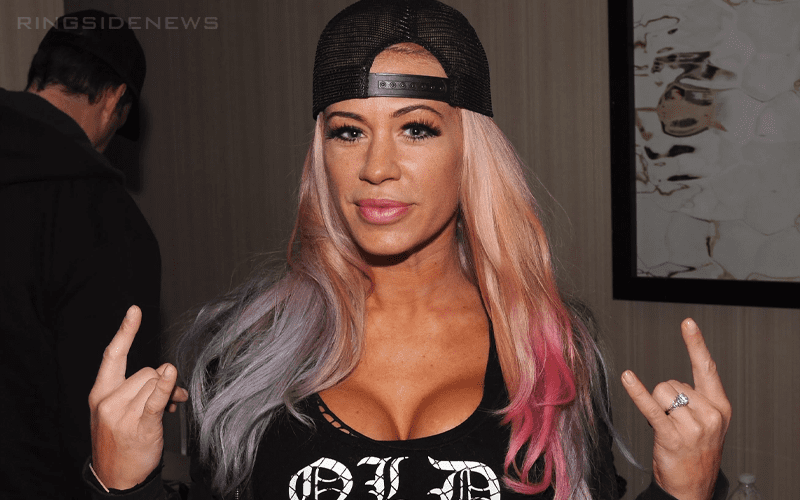 Heartbreaking Details Confirms Ashley Massaro’s Cause Of Death By Suicide
