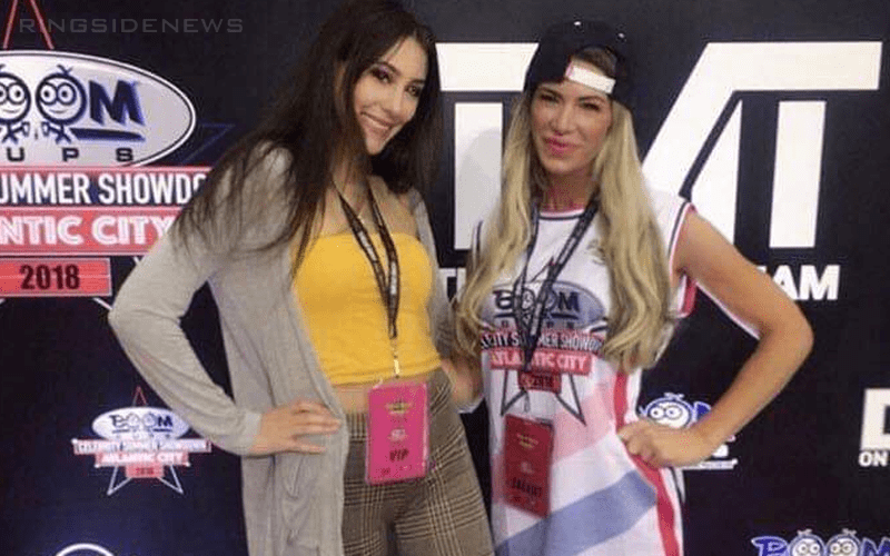Pro Wrestling Community Raises Over $25,000 For Ashley Massaro’s Daughter