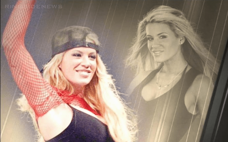 WWE Pays Tribute To Ashley Massaro Before Money In The Bank