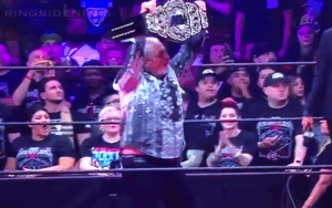 Bret Hart Fell Off AEW Double Or Nothing Stage After All Elite Title Reveal