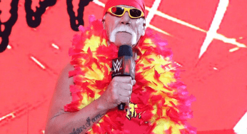 Hulk Hogan Wants Credit For A 13th World Title Win