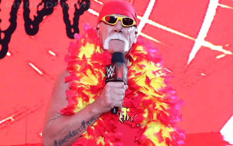 WWE Backstage Talk Of Hulk Hogan At Money In The Bank