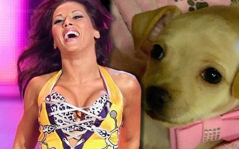 Mickie James Copes With Injury By Getting A Puppy