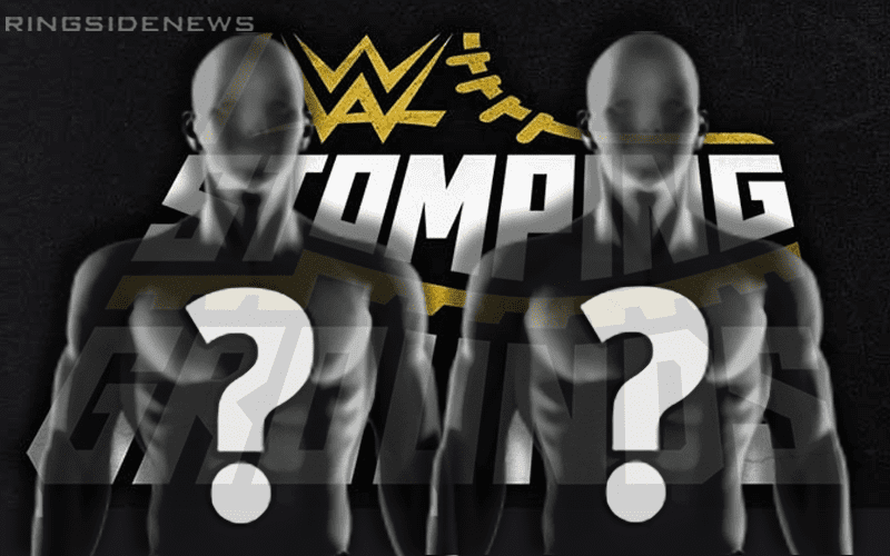 Tag Team Match Added To WWE Stomping Grounds