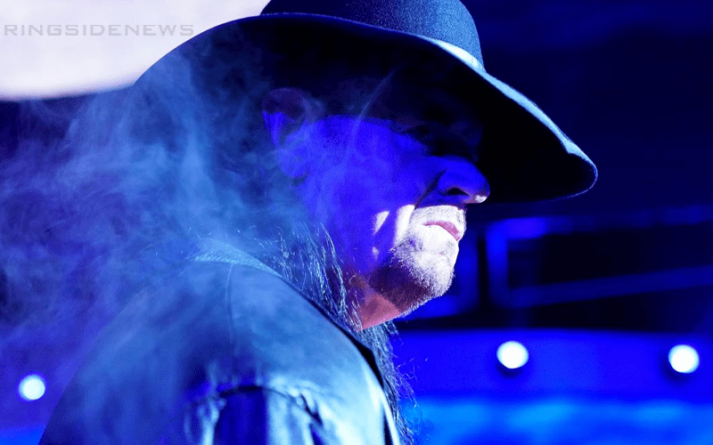The Undertaker’s Next Match Is Still Unclear