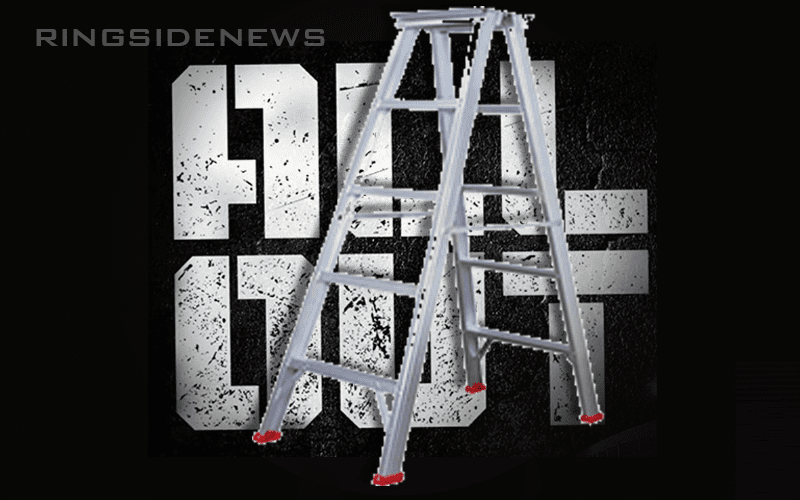 Ladder Match Challenge Laid Down For AEW All Out