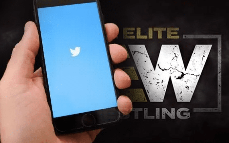 All Elite Wrestling Gets Big Push On Twitter With #ImWithAEW