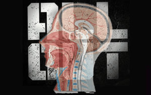 AEW Offered Stars Expert Concussion Symposium Before All Out