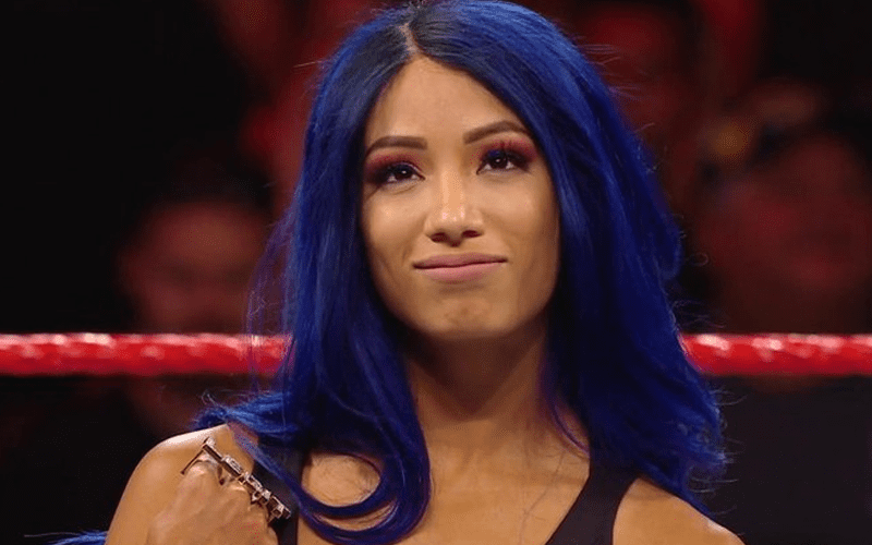 Who Is Behind Sasha Banks’ New Character In WWE