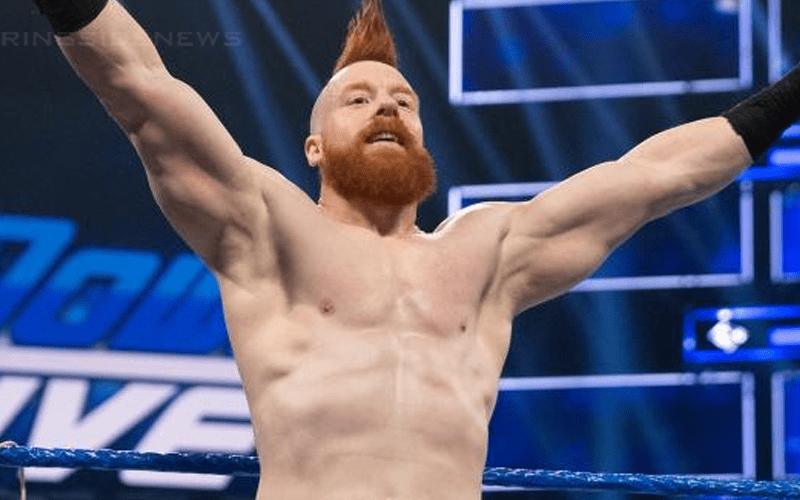 WWE Reportedly Working On Sheamus’ Return
