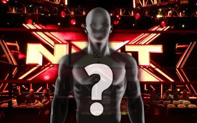 WWE NXT Superstar Shows Off New Look