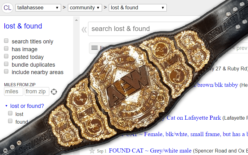 Florida Man Finds AEW World Title On Side Of Road — Puts On Craigslist