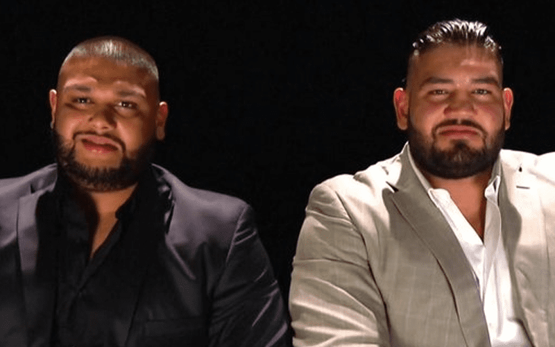 AOP Reappear On WWE RAW With New Gimmick