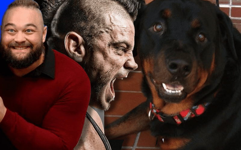 Brian Cage Reminisces About The Time Bray Wyatt’s Dog Peed On Him