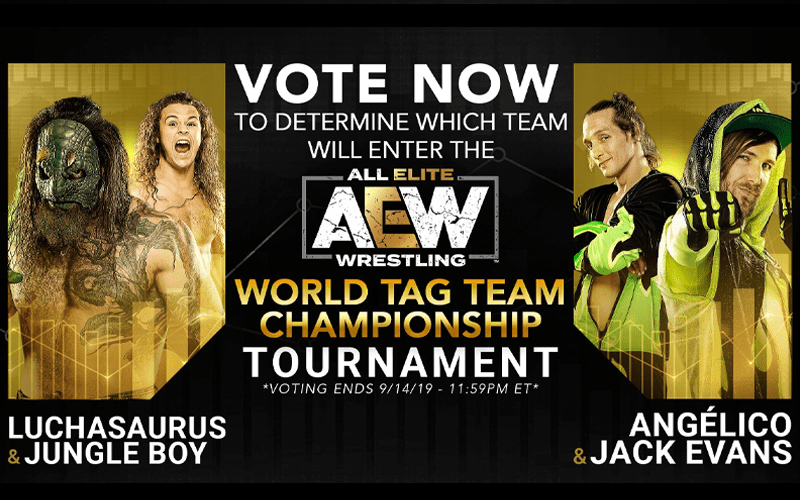 AEW Letting Fans Decide Who Competes In World Tag Team Tournament