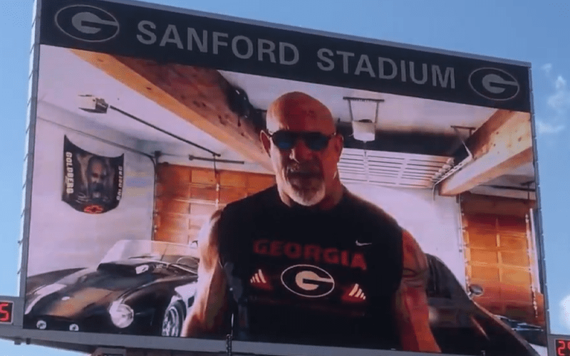 Goldberg Appears Via Video Message At Georgia Bulldogs Football Game