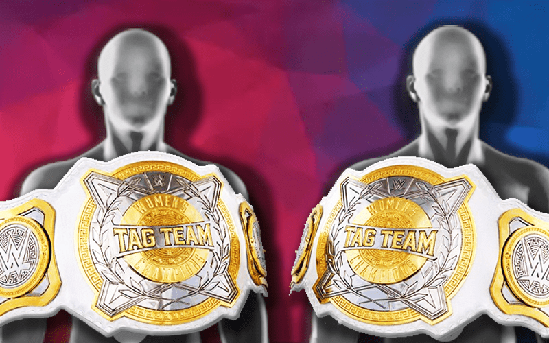 Possible Direction For WWE Women’s Tag Team Title Picture