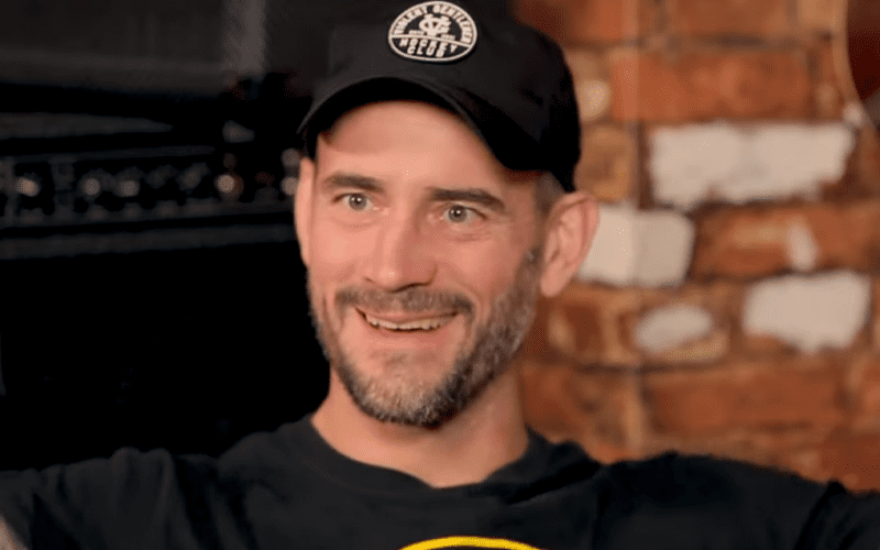 Backstage Opinion In WWE Says CM Punk Will Wrestle Again