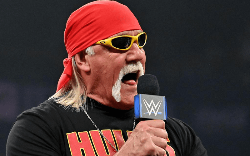 Hulk Hogan Has Issues Getting To Saudi Arabia For WWE Crown Jewel