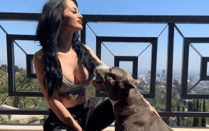 Paige’s Dog Gets Emergency Vet Visit After Eating 40 Dark Chocolates