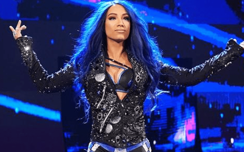 Sasha Banks Might Get Busted Open During WWE Hell In A Cell
