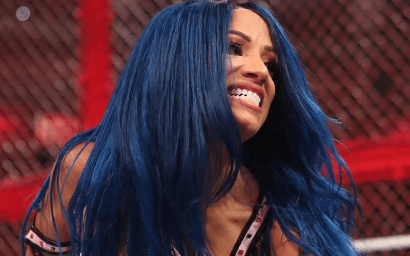 Sasha Banks Says She Made NXT — Now She Will Destroy It