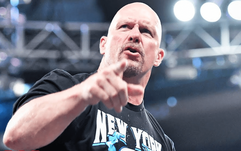 Steve Austin Criticizes Tag Team Wrestling In WWE