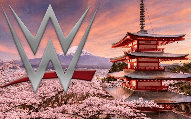 WWE Tried To Buy Japanese Promotion