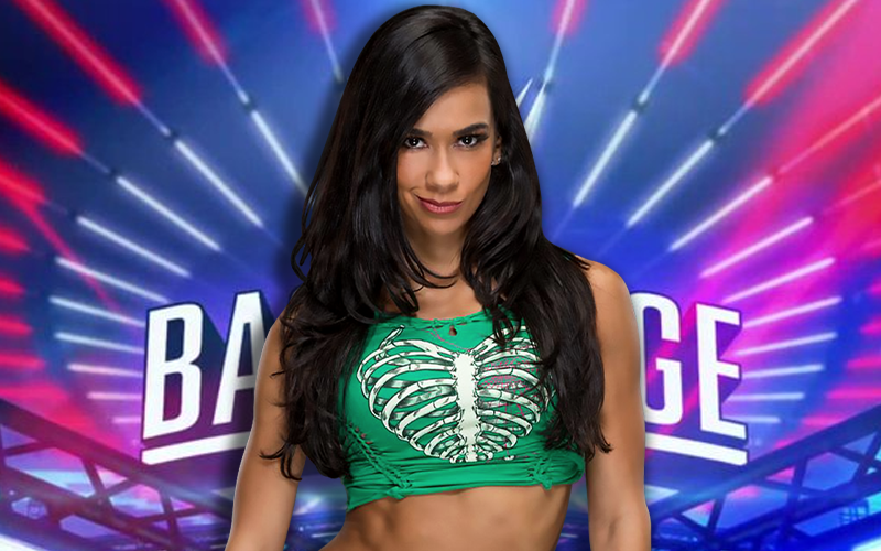 AJ Lee Says She Is ‘Very Retired’ When Asked About WWE Backstage Appearance