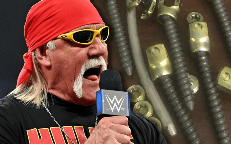 Hulk Hogan Shows Off His Old ‘Hardware’ After Getting Surgery