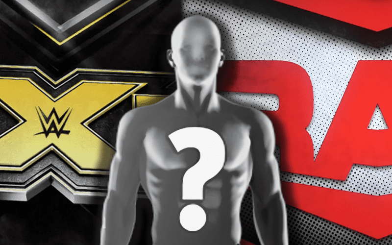 WWE Uncertain Of NXT Superstar’s Main Roster Future