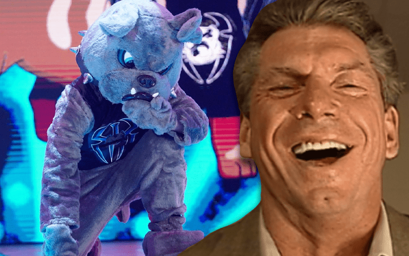 Vince McMahon's Reaction To 'Big Dog' Segment On WWE SmackDown