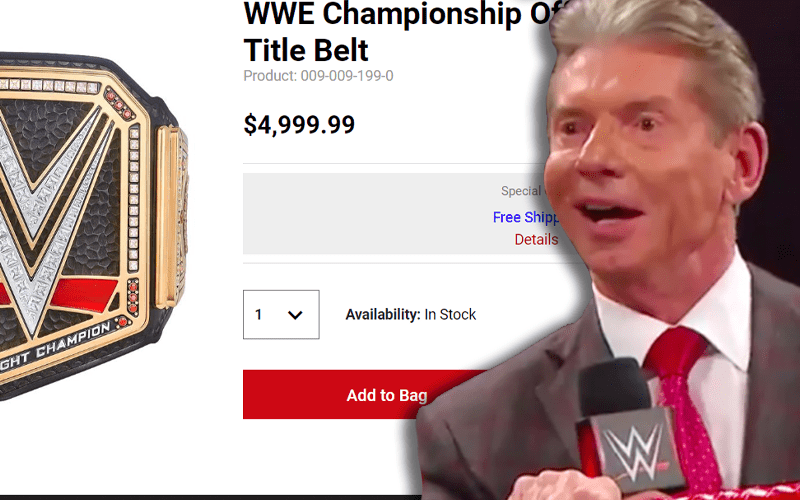 WWE Selling $5,000 ‘Official TV Authentic Title’