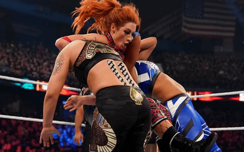 Communication Issues Caused Problems For WWE Survivor Series Main Event