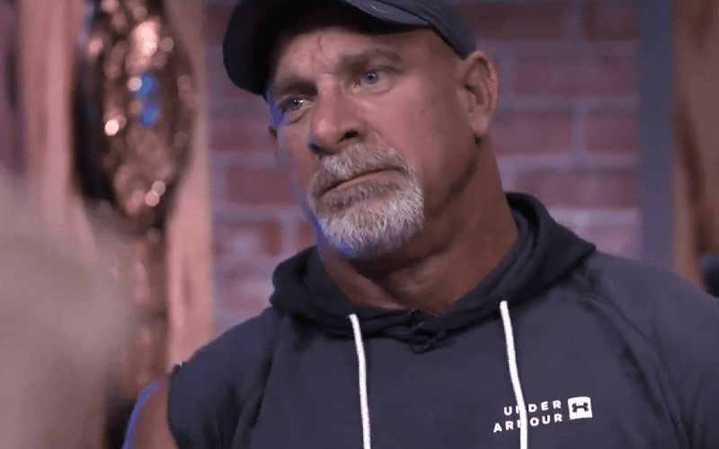 Goldberg On ‘Poor Judgment ‘ Causing Famous Injury