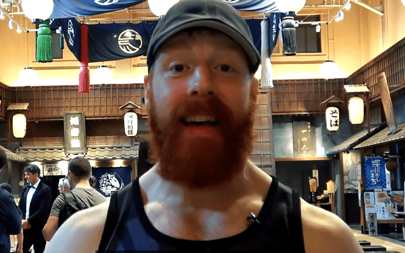 Sheamus On ‘Unplugging’ From WWE During Hiatus