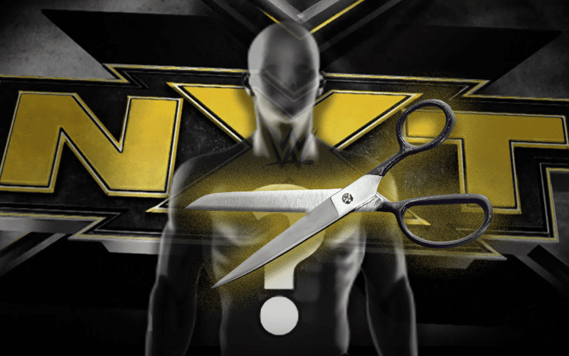 MORE WWE NXT Releases Confirmed