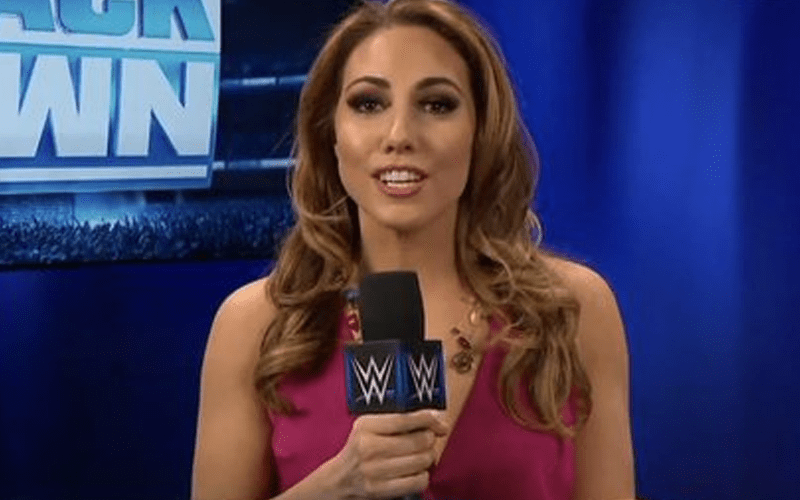 Who Is WWE's New SmackDown Interviewer