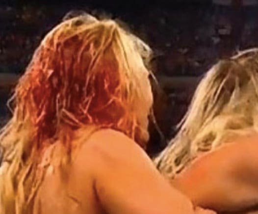 Natalya Praises Beth Phoenix Following Her Injury At WWE Royal Rumble