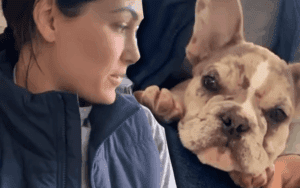 Daniel Bryan & Brie Bella Get New Puppy