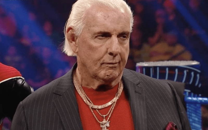 Ric Flair Reveals Extent Of His Memory Loss