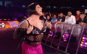 Female Superstars Reportedly Upset Santina Marella Took WWE Royal Rumble Spot
