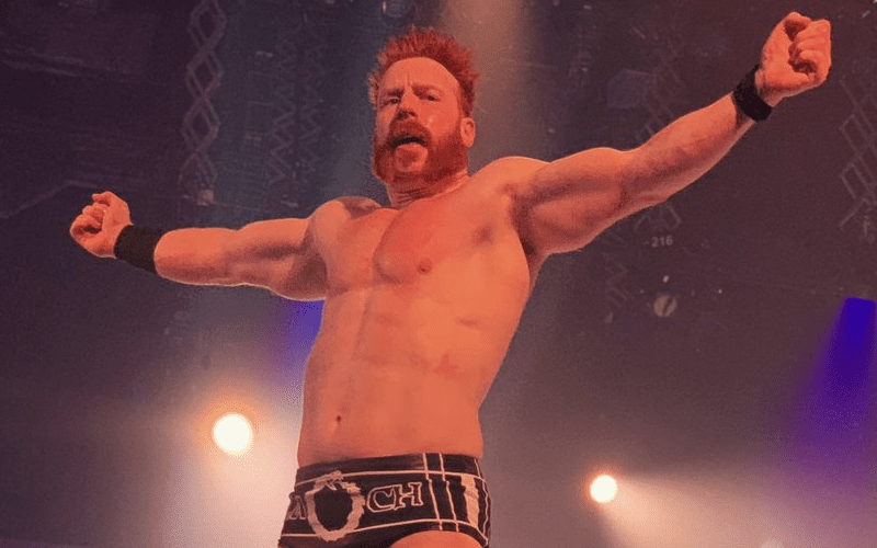 Watch Sheamus Wrestle First Match Since WWE Return At Special Event