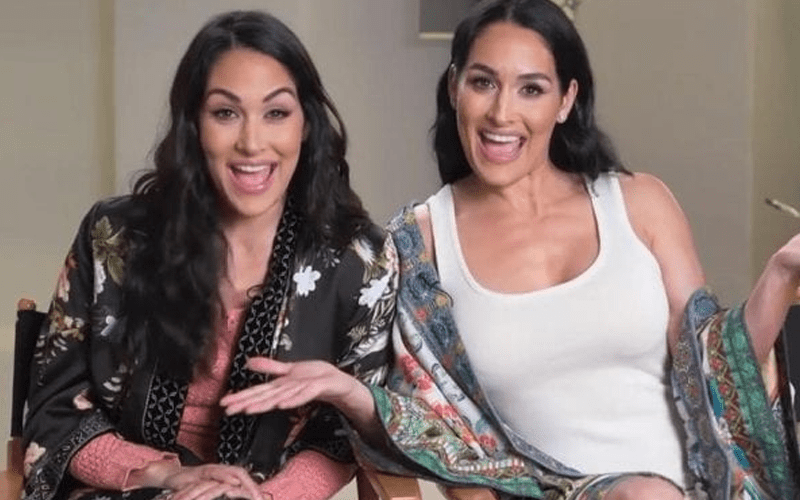 Bella Twins Set To Release Autobiography